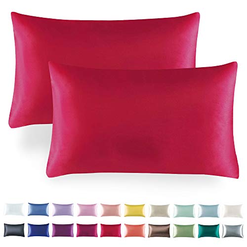 Tyfitb Satin Pillowcase Set for Hair & Skin Care – Cooling, Hypoallergenic, Anti-Frizz, Wrinkle-Free – Soft, Luxurious Pillowcases with Envelope Closure – 2-Pack, Standard Size 20x26, Gift-Ready