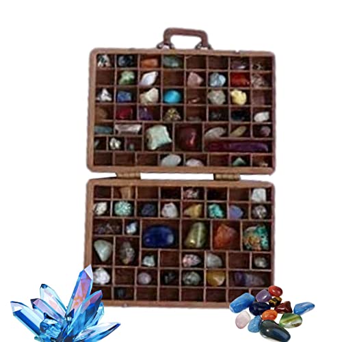Onlynery 10 Pcs Boîte de Collection Rock pour Enfants - Valise Collections De Pierres - Roches en Vrac, Pierres précieuses et Cristaux, véritables fossiles et minéraux Box Cadeaux pour garçons Cover