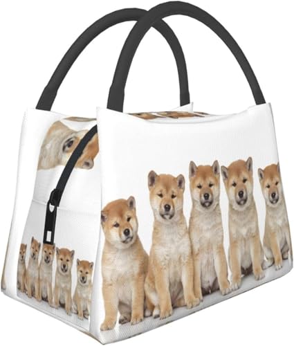 Č  q ꂢ |[^u fM ٓobO  nhobO ۉ ۗ ɋ ϏՌ e t@bV jp Aj ObY LN^[ v[g