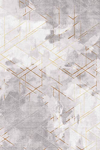 Finoren Abstract Gold Line Area Rugs For Living Room,Bedroom,Hallway,Dining Room,Non-Shedding,Non Slip Backing,Floor Decoration Carpets,Gray-White,5'X7' #TOP1