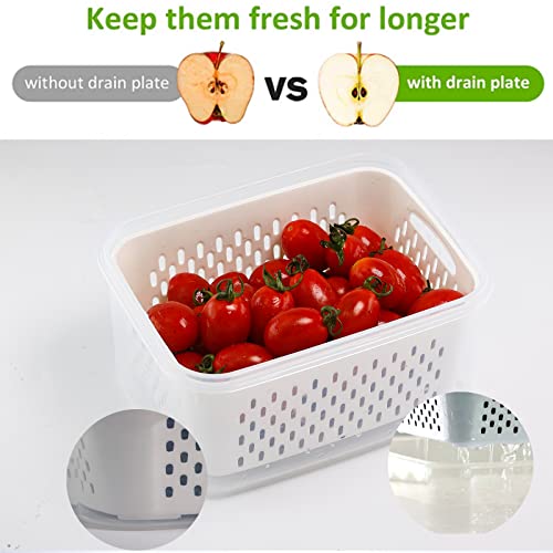 image for Freshmage 5 PCS Large Fruit Containers for Fridge - Leakproof Food Sto