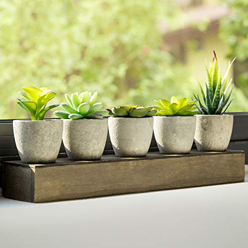 Mygift Mini Assorted Fake Artificial Succulent Plants In Paper Pulp Pots With Vintage Brown Wood Planter Display Box #TOP6