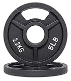 BalanceFrom BFOH2IN-5P