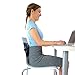 BackJoy Lumbar Support with Adjustable Strap, Designed for Spine and Lower Back Pain, Posture Correction, Adjustable, Breathable, Ideal for Office Chair, Car Seat, Desk Chair