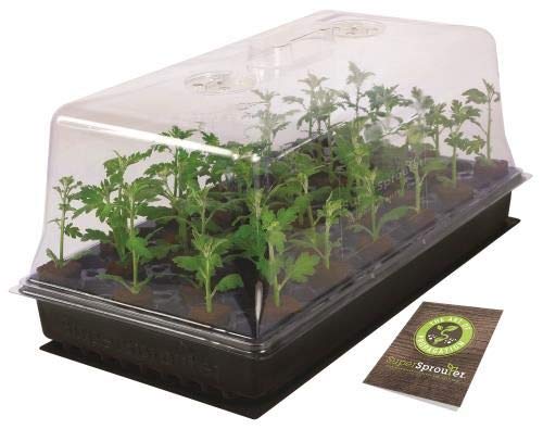 Amazon.com : Super Sprouter Propagation Kit w/ 7