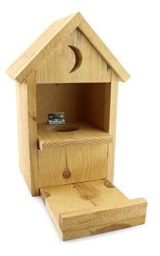 Uncle Dunkels Outhouse Squirrel Feeder; Rustic Handmade Wooden Squirrel Food Dispenser Box #TOP9