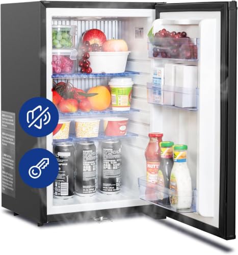 Techomey Compact Refrigerator with Lock 1.7 Cu.Ft, 12V/110V Mini RV Fridge, Reversible Door, Quiet Absorption Refrigerator for Bedroom, Camper, Semi Truck, Boat, Light, Black