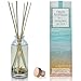 Urban Naturals Ocean Mist & Sea Salt Reed Diffuser | Decorated Seashells! Beautiful Beach Themed Home Decor