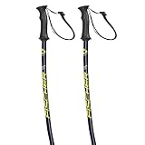 FISCHER RC4 GS Junior Poles - Black