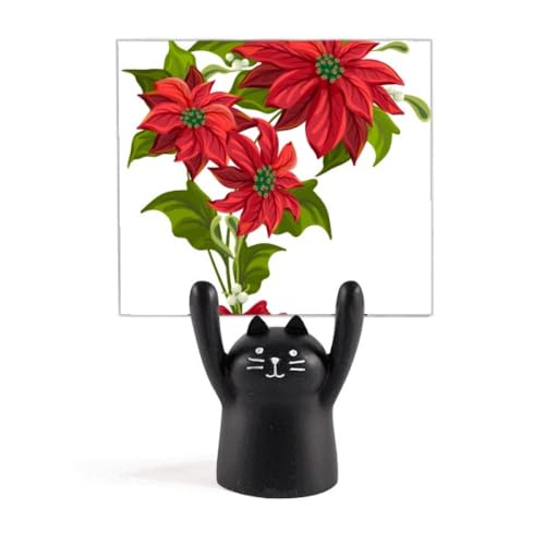 NX}X̉Ԃ̉ԑԂ|CZ`A J[gD[LX^h^z_[