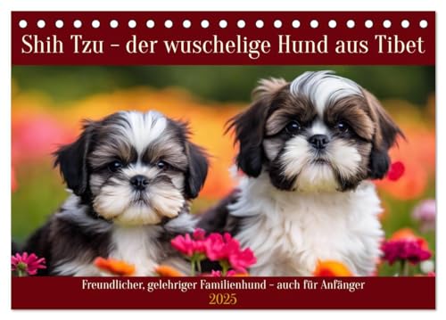 Aldi katzenfutter schnucki test