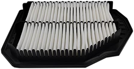 Amazon.com: ECOGARD XA10473 Premium Engine Air Filter Fits Hyundai ...