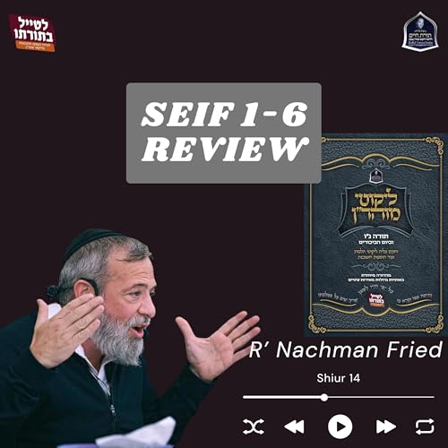 R' Nachman Fried Torah 56 (14) Seif 1-6 Review