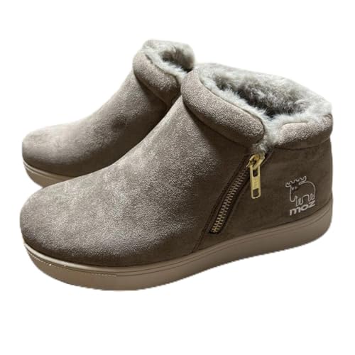 moz Y TChWbv V[g u[c x[W LL 24.5()