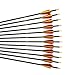 PG1ARCHERY 29.5 Inch Carbon Arrow Targeting Practice Hunting Arrows with Removable Tips for Compound、Recurve Bow (Pack of 12)