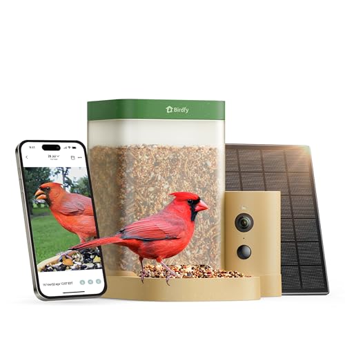 Birdfy Feeder Rookie Bird Feeder Birdfy Feeder Rookie Bird Feeder