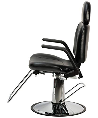Buy-Rite Salon & Spa Equipment Sue Reclining Styling Chair For Professional Hair Stylists, Beauty Salons And Barbers - All Purpose Modern Hydraulic Salon Chair With Heavy Duty Chrome Base, Sy-6769Ap #TOP3