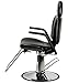 Buy-Rite Salon & Spa Equipment Sue Reclining Styling Chair for Professional Hair Stylists, Beauty Salons and Barbers - All Purpose Modern Hydraulic Salon Chair with Heavy Duty Chrome Base, SY-6769AP