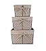 DII Vintage Chicken Wire Baskets for Storage Removable Fabric Liner, Assorted Set of 3, Natural, 3 Piece