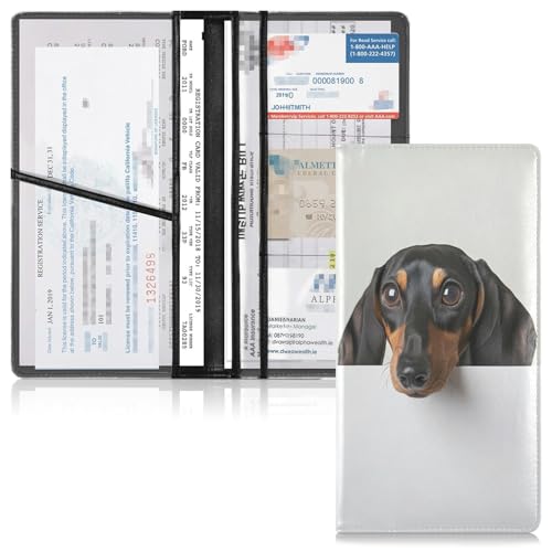 Organizador de Documentos para Auto Slim miniatura 2