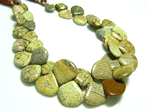 Picture Jasper smooth heart briolette perles calibrées sans défaut pour bijoux