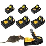 6 Stück Profi Mausefalle Schlagfalle – Verbesserte Faux Käse Pedal Mäusefalle Hochempfindliche Sägezahn Mäusefallen Wiederverwendbare Mouse Trap in Drinne und Garten