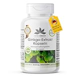 Ginkgo Biloba Extrakt 95mg - mit Flavonen und Lactonen - vegan - 90 Kapseln - schluckfreundlich | HERBADIREKT by Warnke Vitalstoffe - Deutsche Apothekenqualität