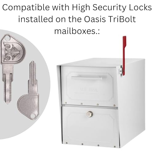Architectural Mailboxes 5143 Replacement Key Blank with Design for High Security Mailbox Locks Installed on Oasis Models - 1 Robby’s Cloud Keychain Included (4 Pack)