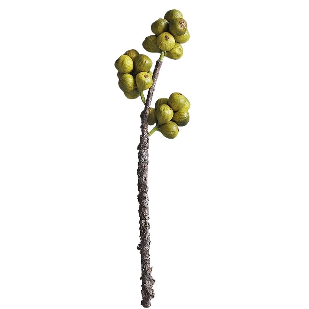 Fleurs simulées et figues zen Argento pour décoration d'hôtel