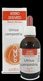 Ulmus campestris gemmoderivato 50ml - Olmo campestre