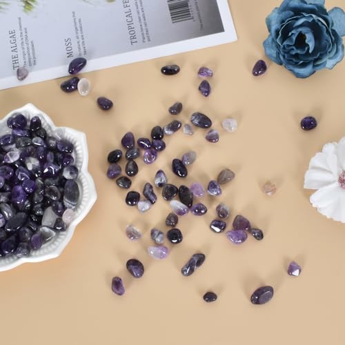 Colexy 100g Trommelsteine Mini Edelsteine Chips Heilsteine Kristall Steine Vase Füller Aquariumsand Blumentopf Deko Sand Steine für Sukkulenten Terrarium DIY Schmuckherstellung (Fluorit)