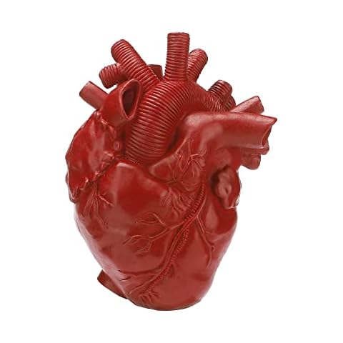 Teahutty Anatomical Heart Decorative Vase Cover