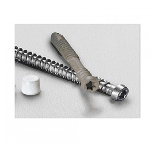 Starborn Pro Plug No. 10 x 2 in. L Star Star Head Epoxy Coated Carbon Steel Deck Screws and Plugs Kit