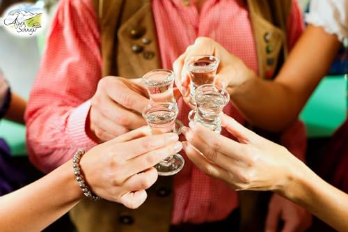 Alpenschnaps Steinbeisser Marille (1 L) – Milder, aromatischer Marillenschnaps – Obstschnaps mit Rezeptur aus dem Alpenland – Schnaps für den Genuss nach dem Essen – 35 % Vol.