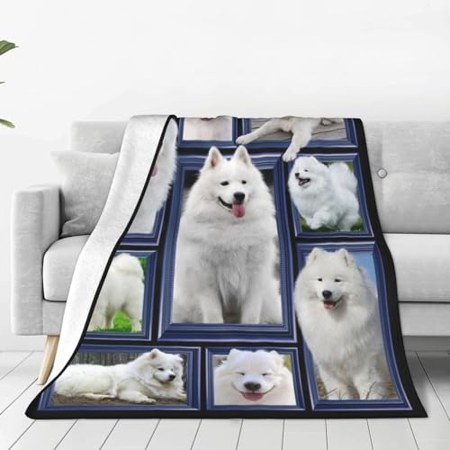Samoyed Blanket Samoyed Decor Throw Blanket Super Soft Flannel Lightweight Fluffy Plush Cozy Fuzzy Fleece Blanket Gifts for Dog Lover Boys Woman Man Kids Adults for Bed Sofa 50"X60"