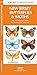 New Jersey Butterflies & Moths: An Introduction to Familiar Species (Wildlife and Nature Identification)