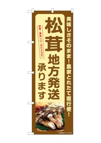 ̂ڂ艮H[(Noboriyakobo) SNB-7363 n܂ W600×H1800mm 1  OO |W  ɐ 󒍐Yi