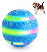 Pet Supplies : ALL FOR PAWS Interactive LED Dog Ball for
