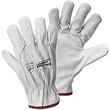 driver gloves racing green ft Contenido: 1 unidad Worky D Driver Glove 1606-9 - Guantes de trabajo (piel de vacuno, talla 9, talla L EN 388)