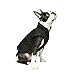 Gooby Winter Wind Breaker Dog Parka for Small Dogs, Black, Large