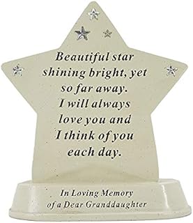 Special Granddaughter Baby Shining Star Graveside Memorial Grave Plaque Ornament Decoration