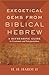 Exegetical Gems from Biblical Hebrew: A Refreshing Guide to Grammar and Interpretation