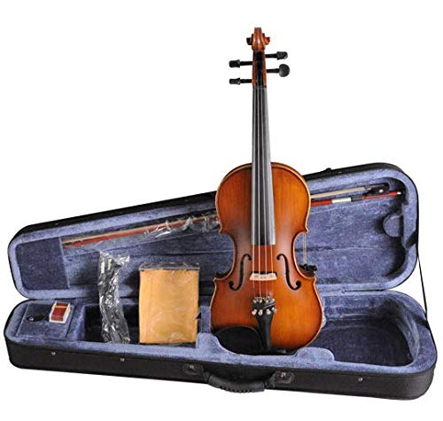 Aileen VE102BE 4/4 Solid Body Violin