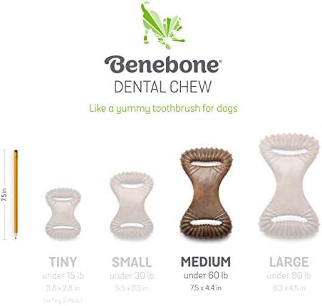 benebone dental chew