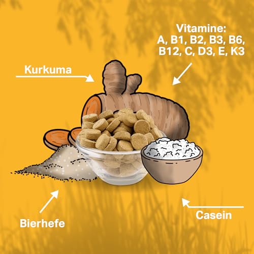 MEDIDOG Multi Vitamin B Komplex Tabletten – ca. 260 Tabletten – hochdosiert, mit VIT. B1, B2, B3, B6, B12, VIT. A, VIT. E, mit Casein, Bierhefe und Kurkuma