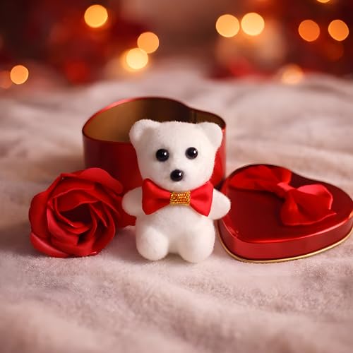 Generic Teddy & Jewellery Gift Combo for Women - Image 3