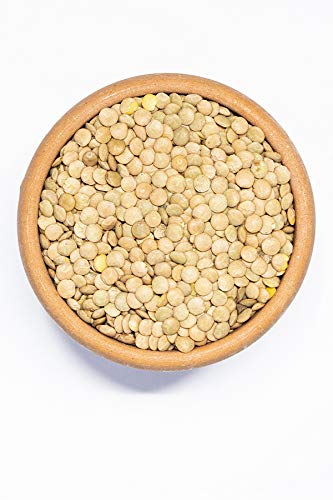 Lentil Green 400g