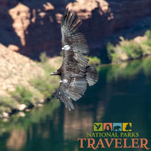 National Parks Traveler Podcast | National Park Science At Risk Podcast Por  arte de portada
