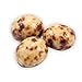 Bulk Marbled Chocolate Covered Espresso Beans | 5lb Bulk Resealable Bag | Premium Quality Marbled Chocolate | Energizing Snacks Throughout the Day | Delicious Caffeinated Treats | By Dilettante Chocolates