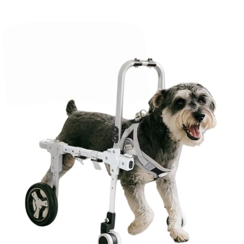 XVVX���p�Ԉ֎q�A�y�b�g���s�� �A���S�n���ǂ��A���t�����ȒP�ŁA�T�C�Y�����\�A�r�A��r�ւɉe����^�����A�Ԉ֎q�Ɏ��t����L�̌�둫�T�|�[�g�A�i�[���Ōy�ʂȃy�b�g�⏕�ԗ��B����ɓK���Ă��܂� (�z���C�g - 4��,M�T�C�Y)